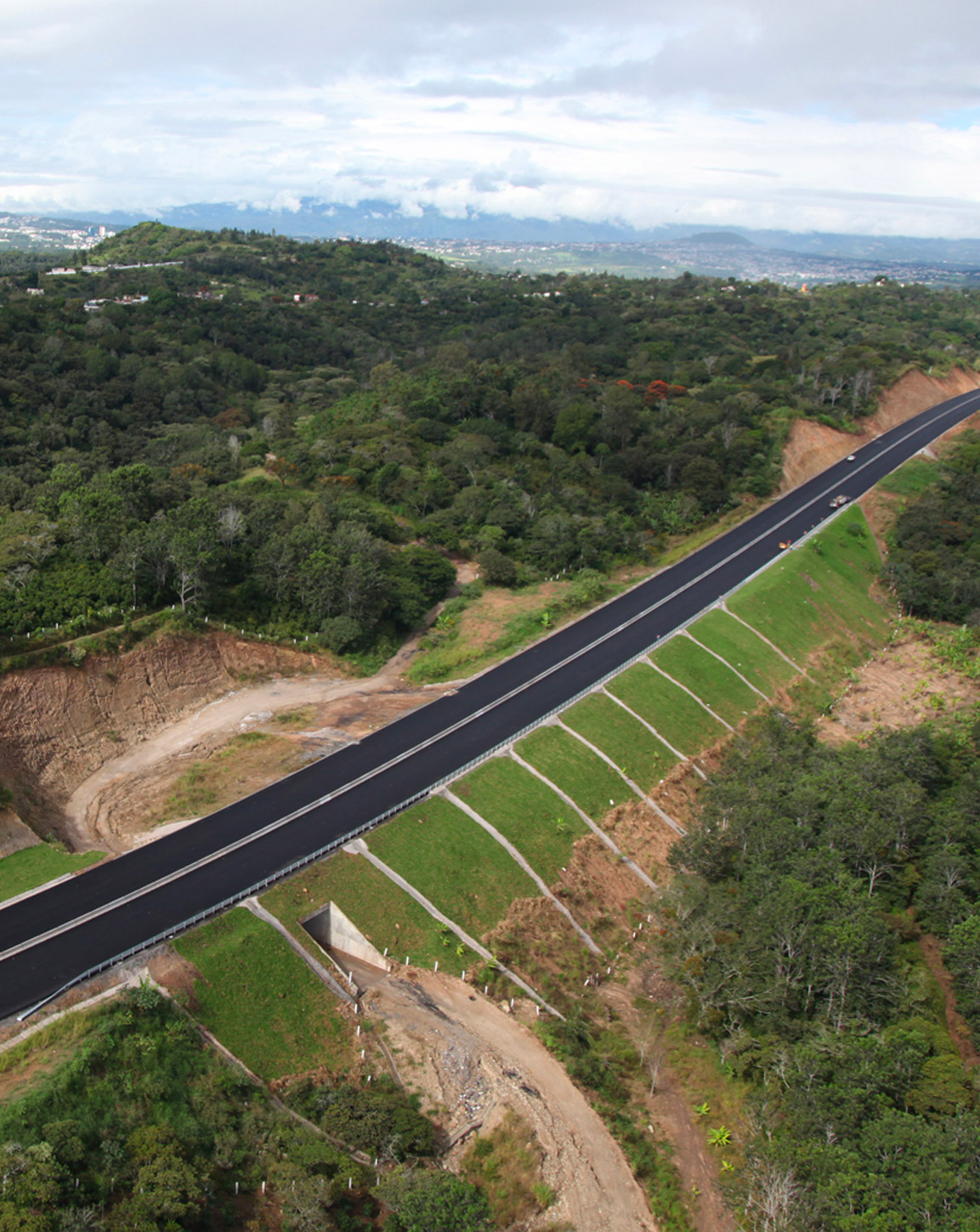 medio ambiente